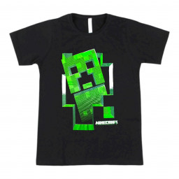 Remera - Minecraft
